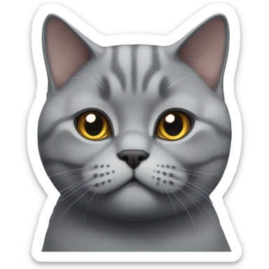 Big gray British shorthair cat  sticker