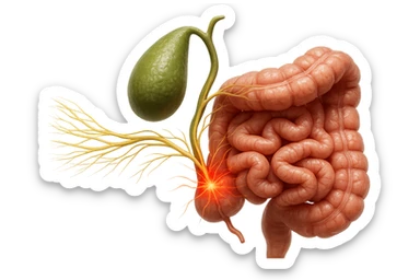 CISTIFELLEA E INTESTINO SONO COLLEGATI NEL DOLORE, iperrealistico 4k sticker