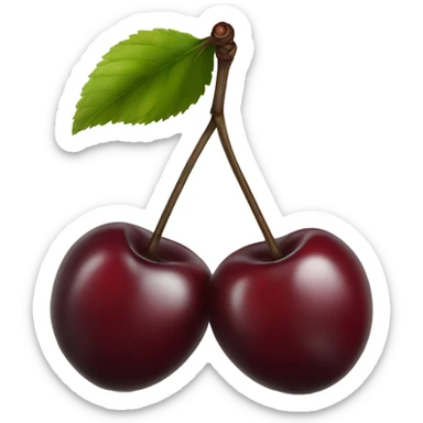 two burgundy cherries on black stem sticker