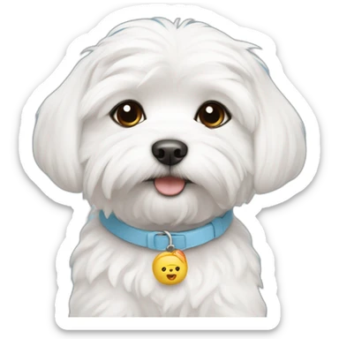 maltese puppy with collar that says Kimchi sticker