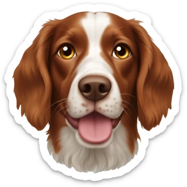 Old Brittany spaniel sticker