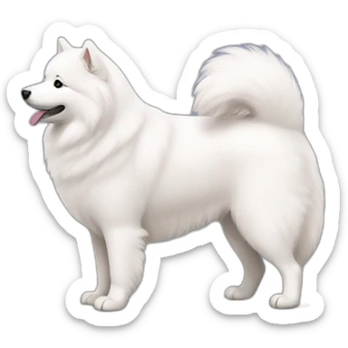 samoyed sticker