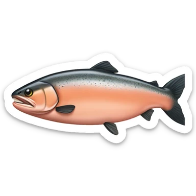 salmon sticker