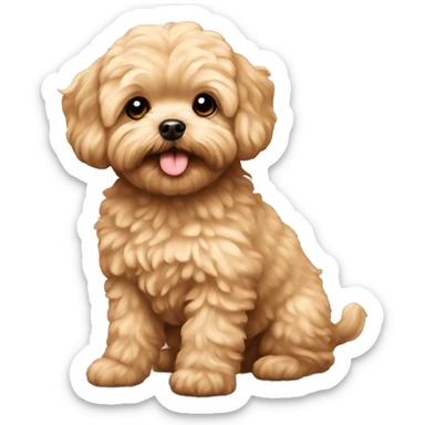 gold maltipoo  sticker