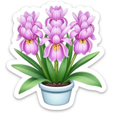 a light margenta  Hyacinth sticker