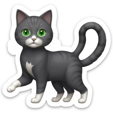 full body gorgeous solid dark grey cat with green eyes, white paws and white whiskers playing sticker