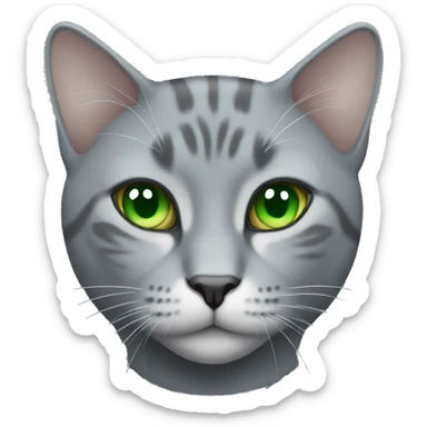 realistic grey cat with green eyes  sticker