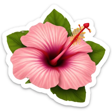 Hibiscus sticker