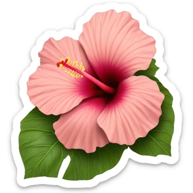 Hibiscus  sticker