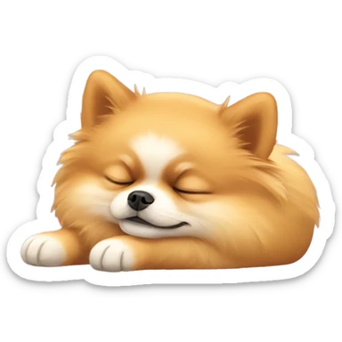 Pomeranian sleeping  sticker