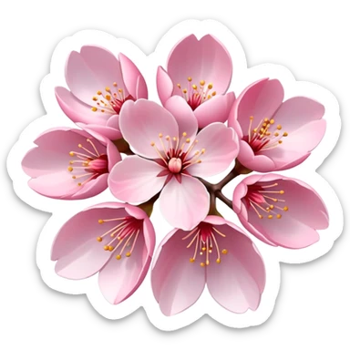 Flor de cerezo sticker