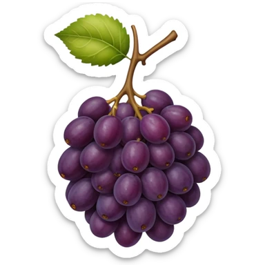 Mi-figue mi-raisin sticker