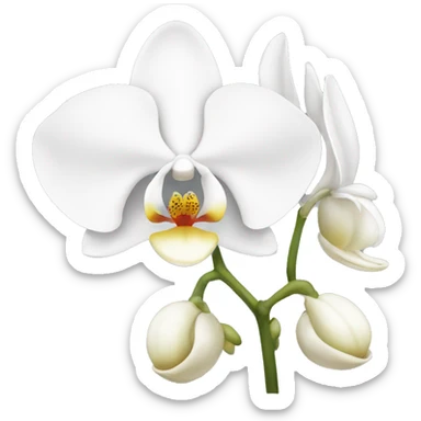White orchid sticker