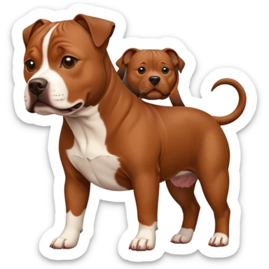 Staffordshire Bull Terrier brown walk sticker