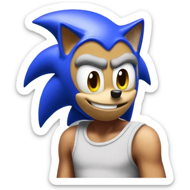 Sonic sticker