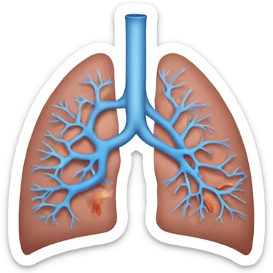 Respiratory system  sticker