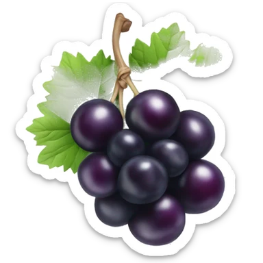 Blackcurrant sticker