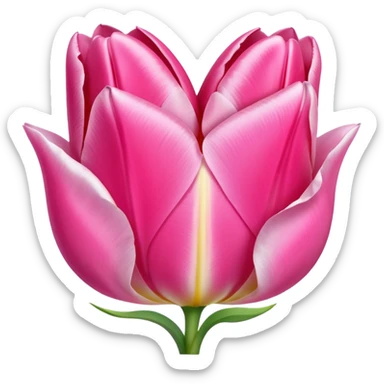 Corazón rosa y tulipán rosa sticker