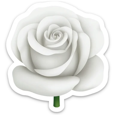 Rosa branca sticker