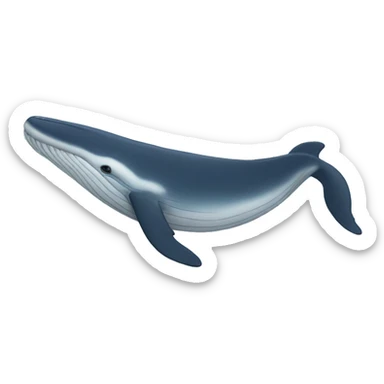 whale sticker