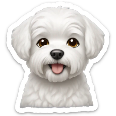 A small white maltipu dog. sticker