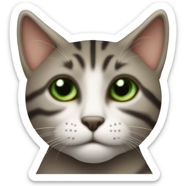 Katze grüne Augen braun schwarz gestreift  sticker