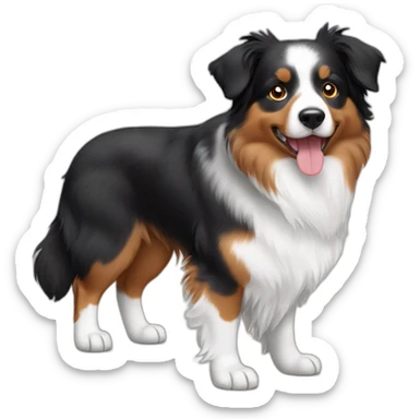 Australian shepherd tricolor sticker