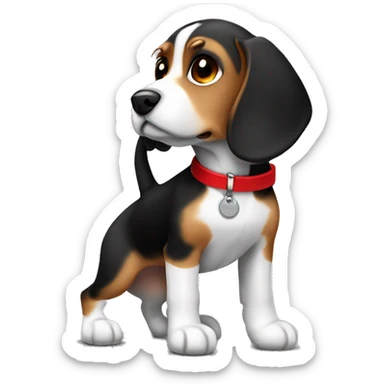 Small beagle dog black, brown and white with red collar with a tag  sticker