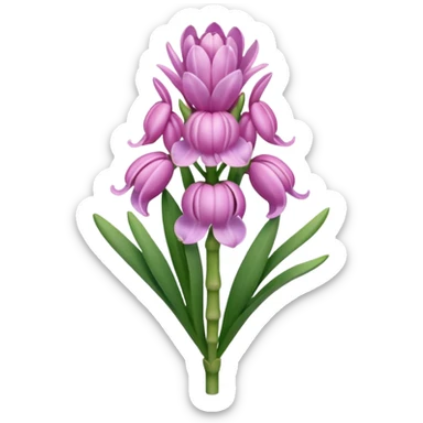 a light margenta  Hyacinth sticker