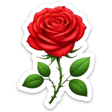 Realistic rose of dark red color  sticker