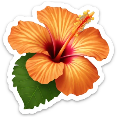 Orange hibiscus flower sticker