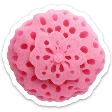 pink lace mesh shower sponge sticker