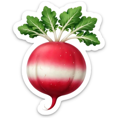radish UK plant with a bit of white on the bottom of the radish sticker