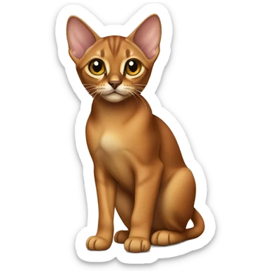 Abyssinian kitten standing  sticker