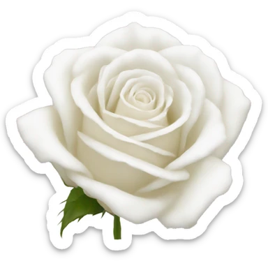 rosas blancas sticker