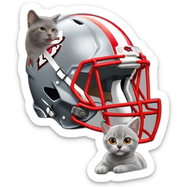 cute grey cat wearing a Kansas City Chiefs helmet next to Taylor Swift sticker