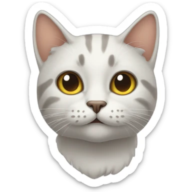 Cat in the housse sticker