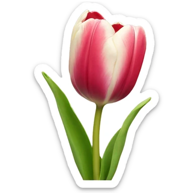 tulip sticker