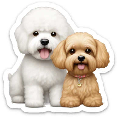 Apricot cockapoo and white bichon frise sticker