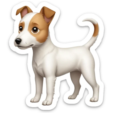 a full body slightly chubby white parson russell terrier looking dog the size of a kelpie with light brown long ears and a light brown patch on one eye and a large snout sticker