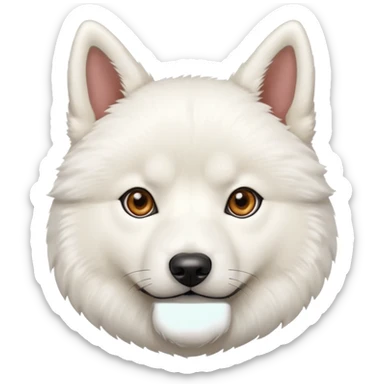 White Jindo dog has sharp face line sticker