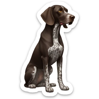 German pointer sticker