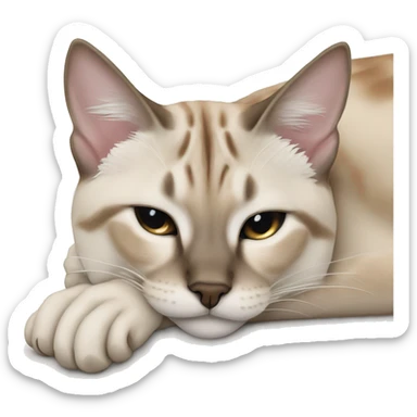 Lynx point Siamese cat sleeping  sticker