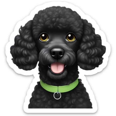 A single Energetic dark black mini poodle with short hair and light green collar sticker