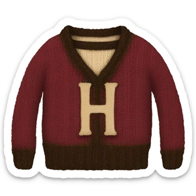 Harry Potter knitted sweater with a letter H sticker