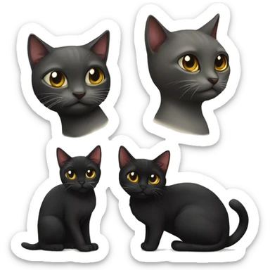 Siam Katze und schwarze Katze sticker