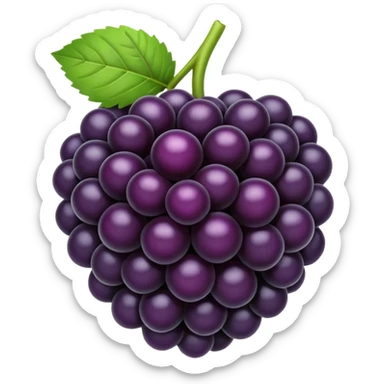 blackberry sticker