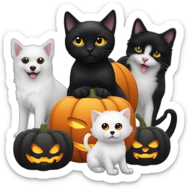 Black cat, two white dogs, an Halloween pumpkin and Elvira sticker