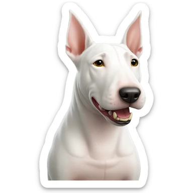 Bull terrier with sd9 sticker