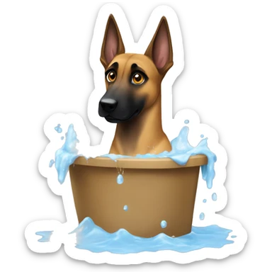 malinois qui se douche, prend son bain  sticker